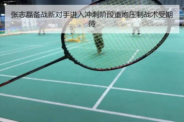张志磊备战新对手进入冲刺阶段重炮压制战术受期待