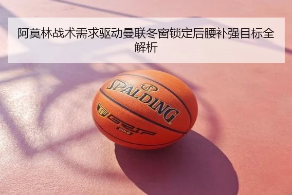 阿莫林战术需求驱动曼联冬窗锁定后腰补强目标全解析